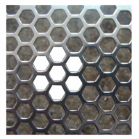 Hexagonal Shape Stainless Steel Perforated Metal Mesh Sheets